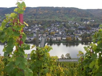 Blick über Weinberge auf ein Dorf am Fluss mit Herbstlandschaft im Hintergrund.