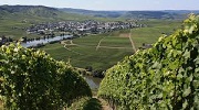 Weinberge mit Blick auf Dorf und Fluss unter blauem Himmel in ländlicher Umgebung.